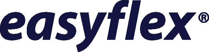 logo easyflex blue