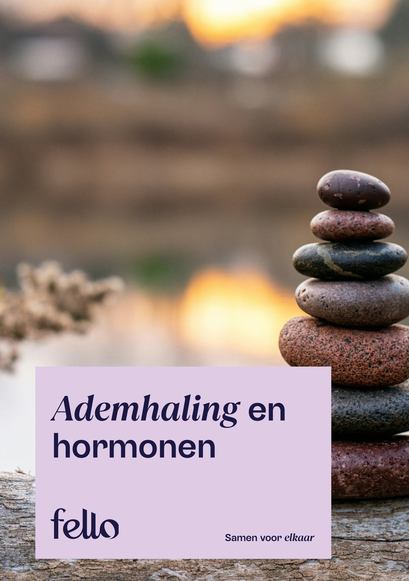 Fello - Downloads voor mantelzorgers - Handleiding Ademhaling en hormonen-1