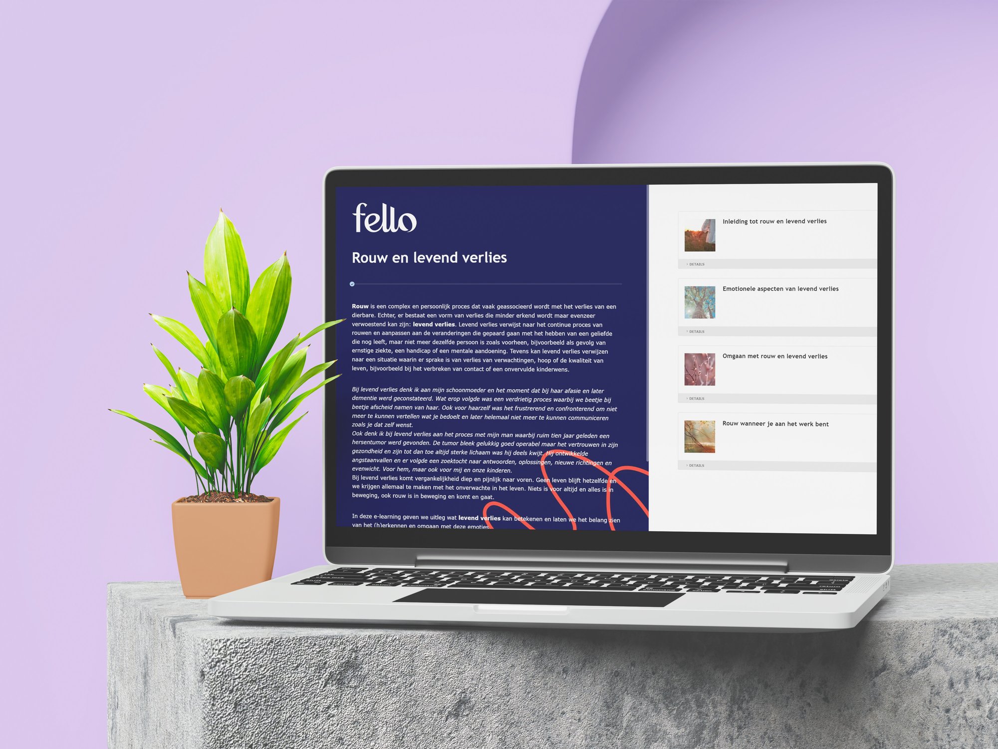 advertentie_elearning_afbeelding