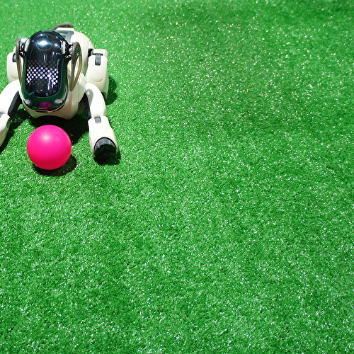 Abeelding artikel robotdieren