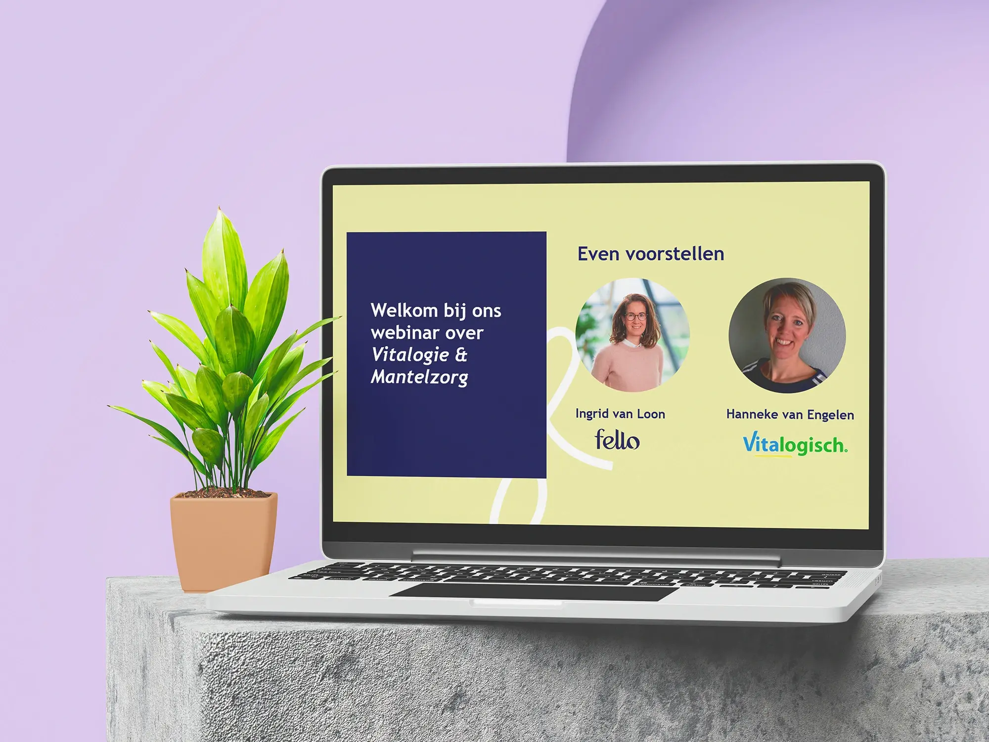 Webinar Vitalogisch x Fello